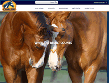 Tablet Screenshot of cavalor.com